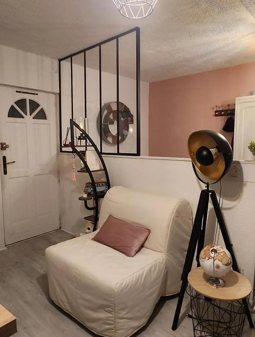 Appartamento Appartement Hyper Centre Historique Toulouse Capitole Cosy