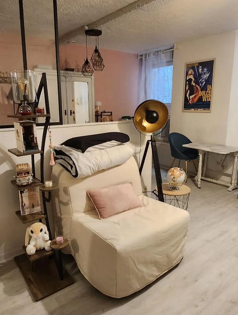 Appartement Hyper Centre Historique Toulouse Capitole Cosy Appartamento